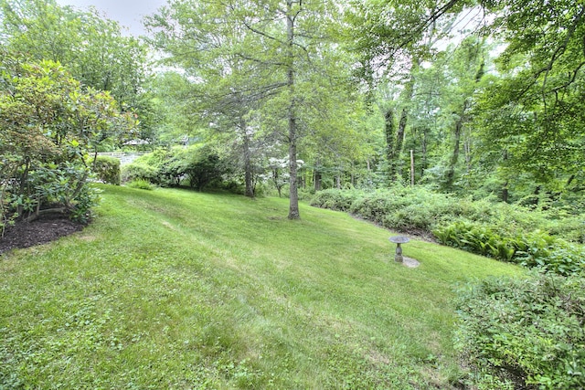 62 Wells Hill Rd, Weston, CT 06883 - view of green lawn