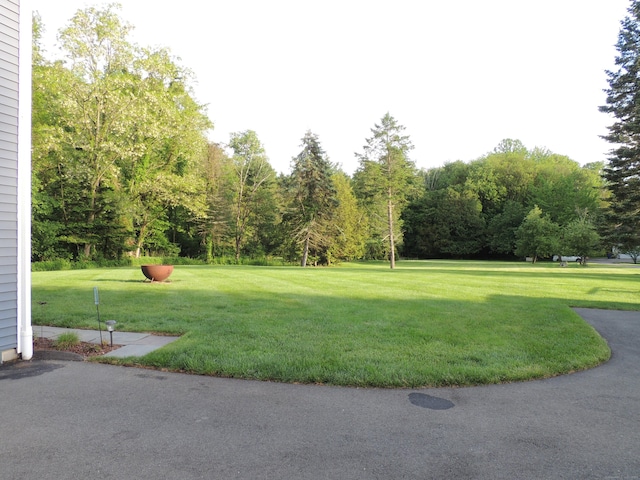 175 Cross Hill Rd, Monroe, CT 06468 - view of community with a yard