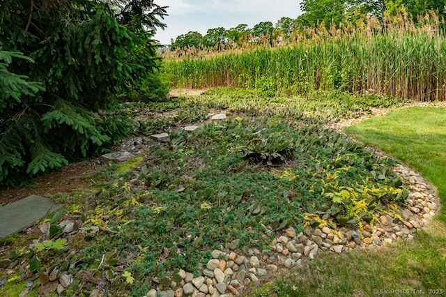 94 Boston Post Rd, Madison, CT 06443 - view of yard