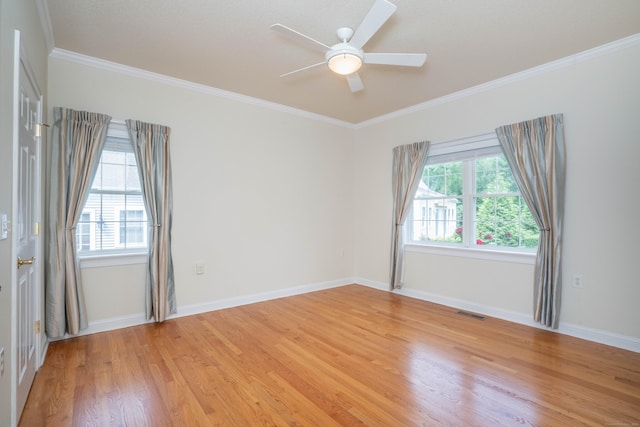 1 Primrose Ln Unit 1, Farmington, CT 06032 - photo 20