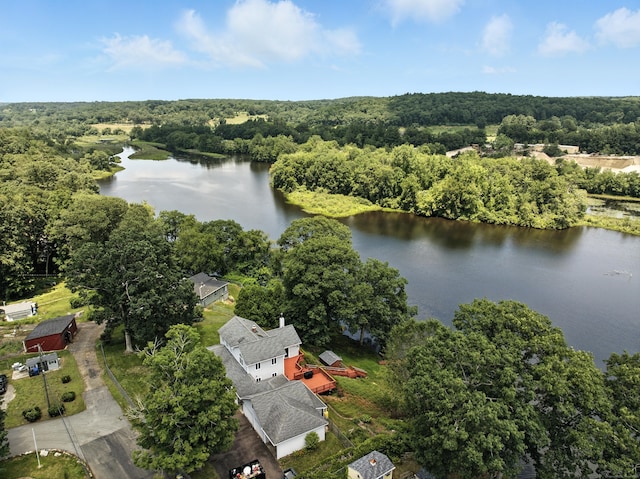 214 Pine Lake Dr, Coventry, CT 06238 - photo 34