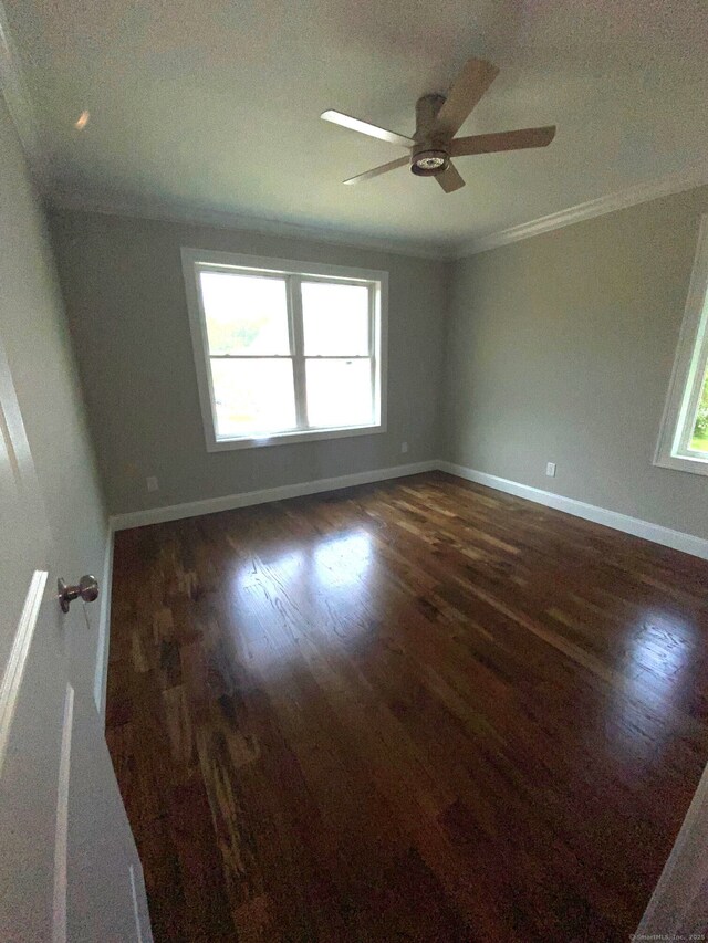 277 Alba Ave, Bridgeport, CT 06606 - photo 17