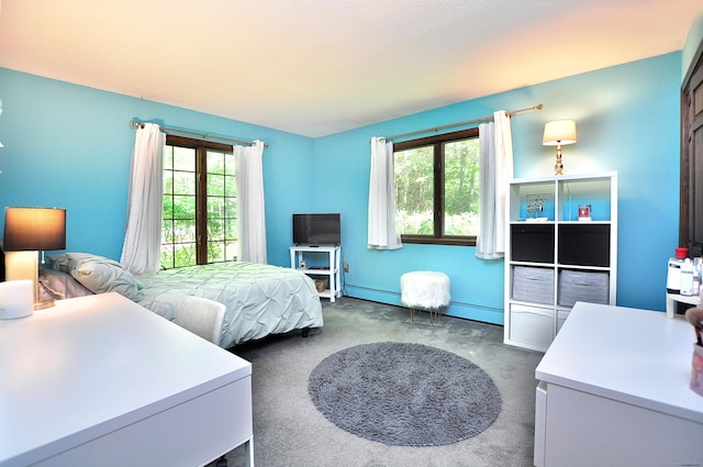 18 Fiano Rd, Bolton, CT 06043 - photo 24