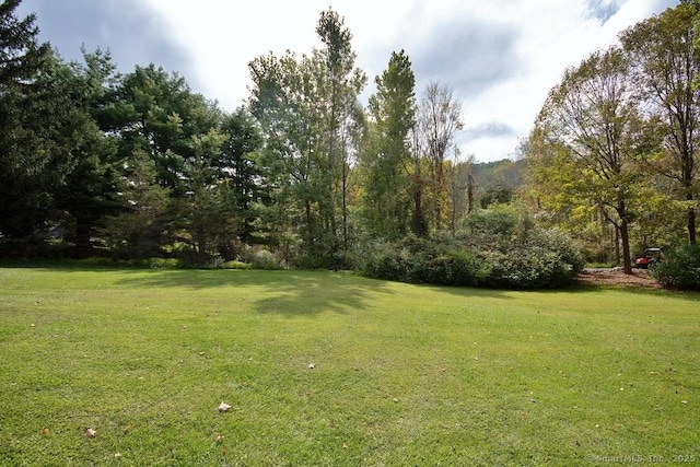 2 Tamshell Dr, Kent, CT 06757 - view of green lawn