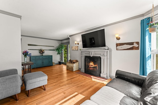 5 Maple Corners Rd, Ledyard, CT 06335 - living room featuring ornamental molding, healthy amount of natural light, wood finished floors, and a warm lit fireplace
