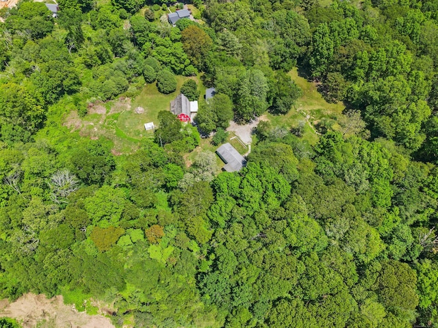 157 Mile Creek Rd, Old Lyme, CT 06371 - view of property location with a forest