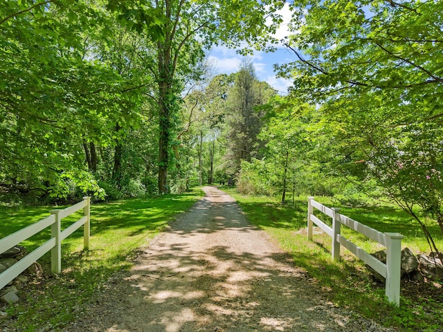 157 Mile Creek Rd, Old Lyme, CT 06371 - view of dirt / gravel road featuring a forest view
