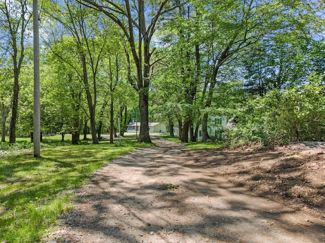 157 Mile Creek Rd, Old Lyme, CT 06371 - view of dirt / gravel driveway