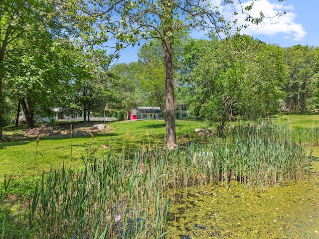157 Mile Creek Rd, Old Lyme, CT 06371 - view of grassy yard