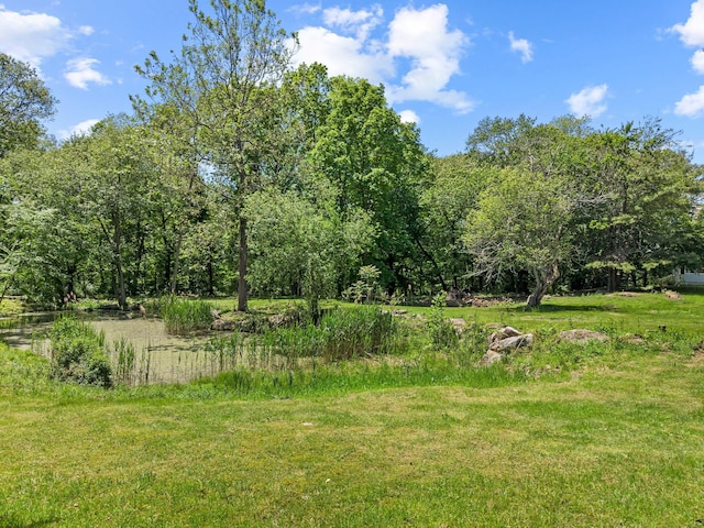 157 Mile Creek Rd, Old Lyme, CT 06371 - view of yard