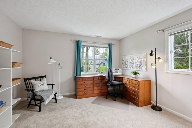 20 Cherry Ln, Madison, CT 06443 - office with plenty of natural light, carpet, baseboards, and a textured ceiling