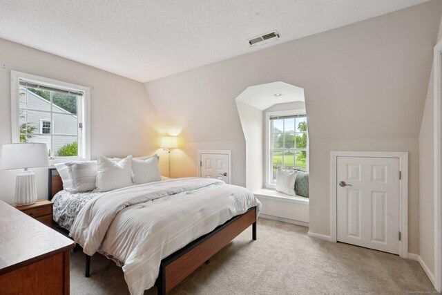 20 Cherry Ln, Madison, CT 06443 - bedroom featuring multiple windows, light carpet, vaulted ceiling, a textured ceiling, and baseboards