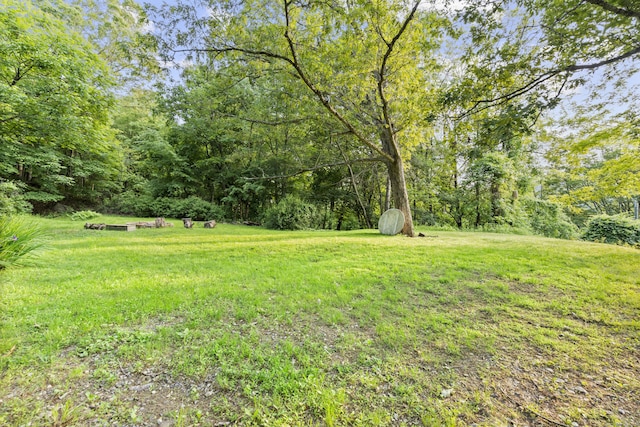 4 Wanzer Hill Rd, Sherman, CT 06784 - view of green lawn featuring a storage shed and a wooded view