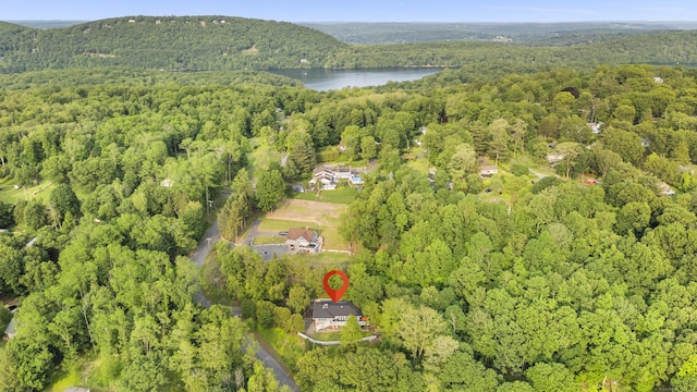 4 Wanzer Hill Rd, Sherman, CT 06784 - aerial view of property's location featuring a heavily wooded area and a large body of water