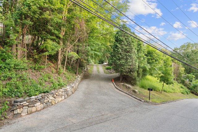 4 Wanzer Hill Rd, Sherman, CT 06784 - surrounding community with asphalt driveway
