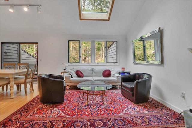 424 Trailsend Dr Unit 424, Torrington, CT 06790 - living room with lofted ceiling, a skylight, wood finished floors, track lighting, and baseboards