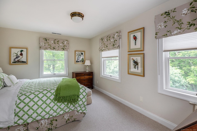 78 Garnet Rd, Roxbury, CT 06783 - bedroom with light carpet and baseboards