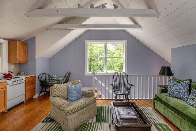 78 Garnet Rd, Roxbury, CT 06783 - living area featuring light wood finished floors