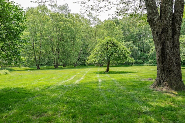 78 Garnet Rd, Roxbury, CT 06783 - view of grassy yard featuring a wooded view
