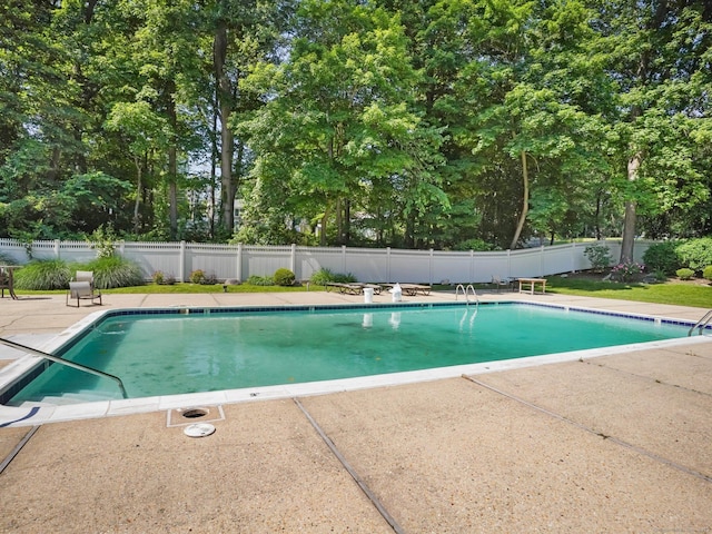 100 Wolfpit Ave Apt 19, Norwalk, CT 06851 - view of swimming pool featuring a patio area and view of wooded area