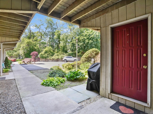 100 Wolfpit Ave Apt 19, Norwalk, CT 06851 - doorway to property with view of wooded area