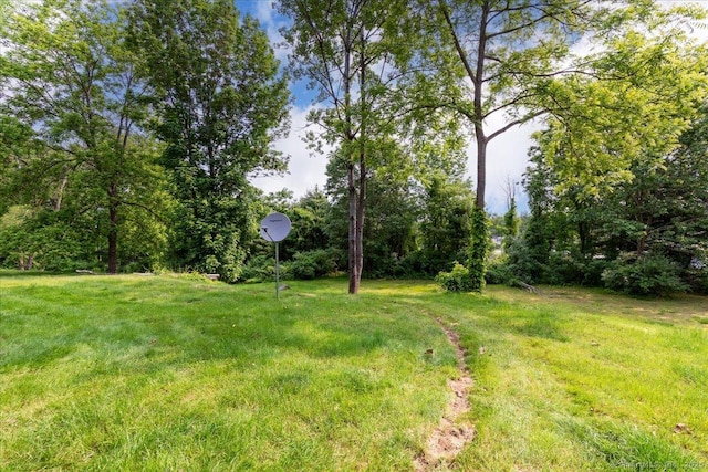 270 S Windham Rd Apt 61, Windham, CT 06226 - view of green lawn