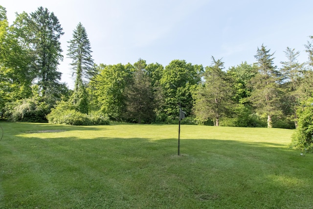 884 Black Rock Tpke, Easton, CT 06612 - view of grassy yard
