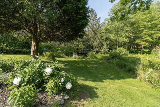 884 Black Rock Tpke, Easton, CT 06612 - view of grassy yard