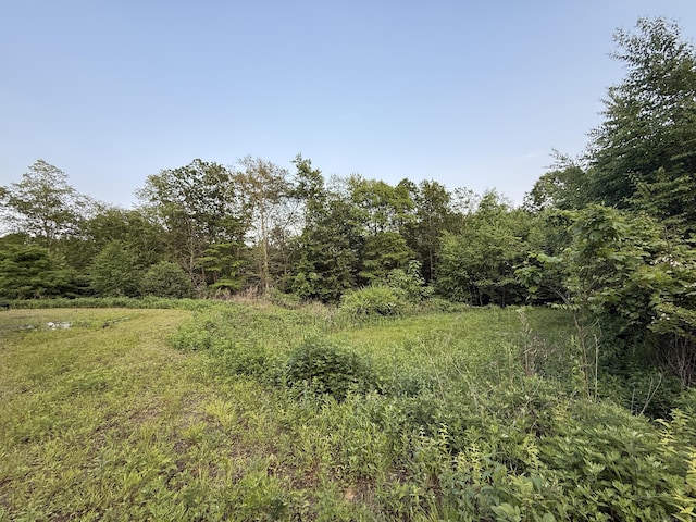 40 Bee Mountain Rd, Oxford, CT 06478 - view of tree filled area