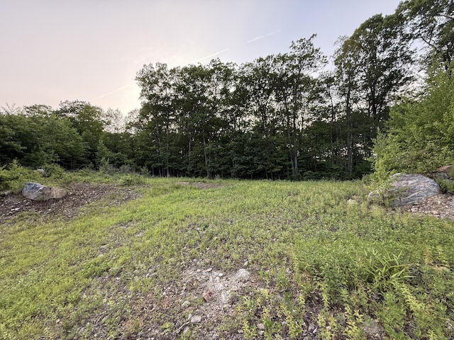 40 Bee Mountain Rd, Oxford, CT 06478 - view of yard featuring a wooded view
