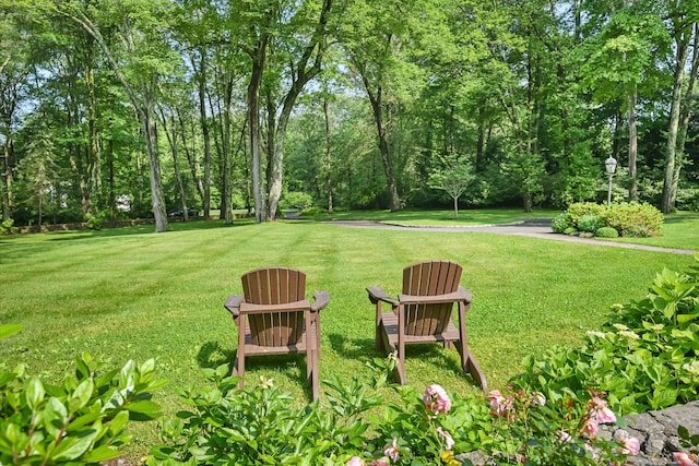 19 Father Peters Ln, New Canaan, CT 06840 - view of grassy yard