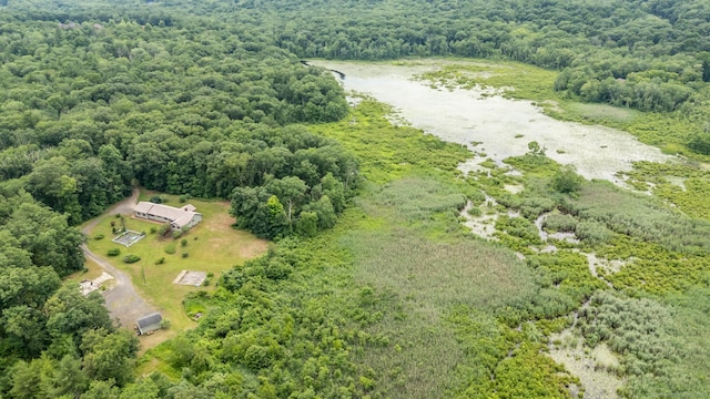 192 Palmer Rd, Chaplin, CT 06235 - drone / aerial view of a forest