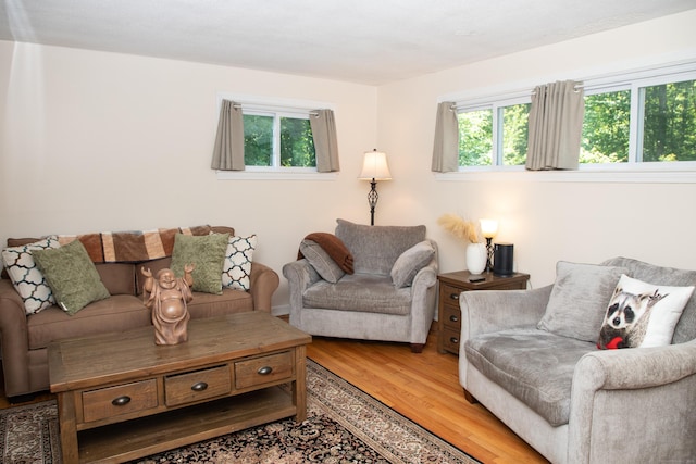 158 Jones Dr, New Britain, CT 06053 - living area featuring wood finished floors