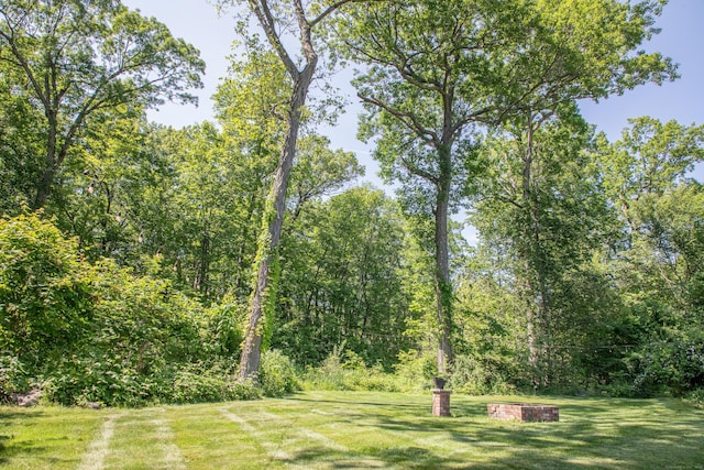 158 Jones Dr, New Britain, CT 06053 - view of grassy yard with a forest view