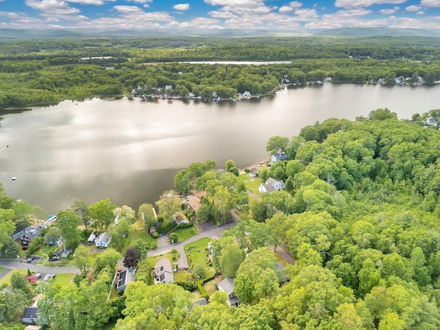 61 Pine Rd, Suffield, CT 06093 - bird's eye view of a heavily wooded area and a nearby body of water