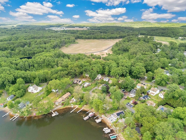 61 Pine Rd, Suffield, CT 06093 - drone / aerial view of a forest and a nearby body of water