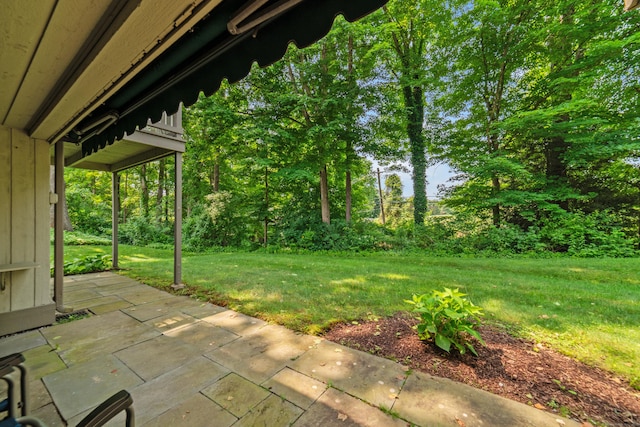 543 Heritage Vlg Unit A, Southbury, CT 06488 - view of grassy yard featuring a patio