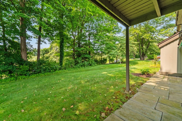 543 Heritage Vlg Unit A, Southbury, CT 06488 - view of green lawn