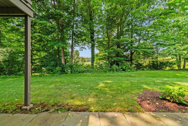 543 Heritage Vlg Unit A, Southbury, CT 06488 - view of grassy yard