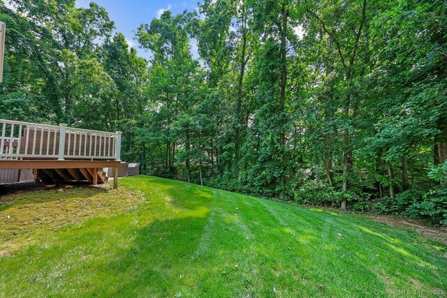 85 Coleman Rd, Glastonbury, CT 06033 - photo 34