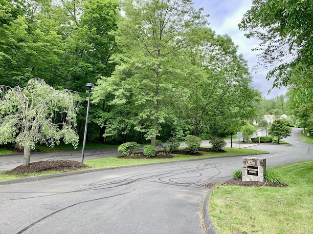 350 Bristol St Apt A3, Waterbury, CT 06708 - view of asphalt street with street lighting and curbs