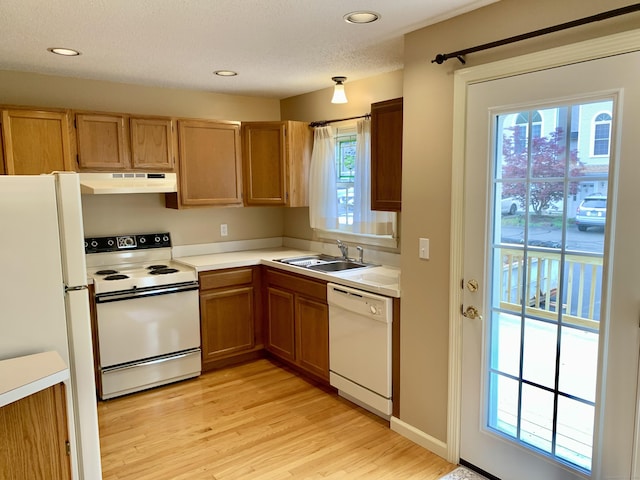 350 Bristol St Apt A3, Waterbury, CT 06708 - kitchen with white appliances, under cabinet range hood, a sink, light wood finished floors, and light countertops
