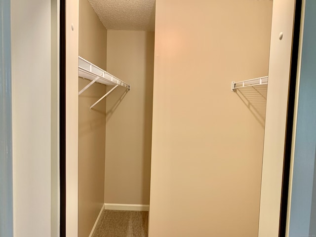 350 Bristol St Apt A3, Waterbury, CT 06708 - walk in closet featuring carpet