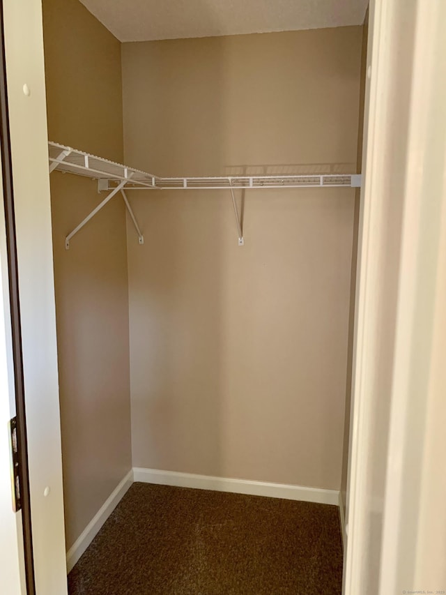 350 Bristol St Apt A3, Waterbury, CT 06708 - spacious closet with carpet