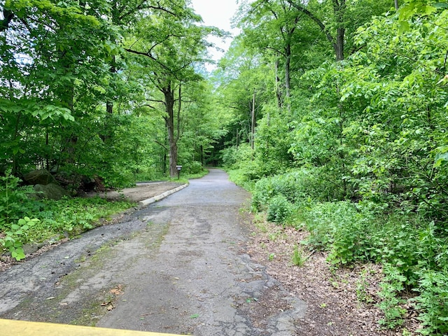 350 Bristol St Apt A3, Waterbury, CT 06708 - view of street featuring a wooded view