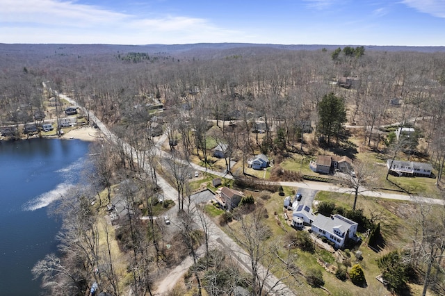 73 Lake Shore Dr, East Haddam, CT 06415 - aerial overview of property's location featuring a forest and a nearby body of water