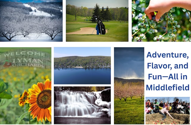30 Dwight Rd, Middlefield, CT 06455 - view of marketing collateral with multiple images