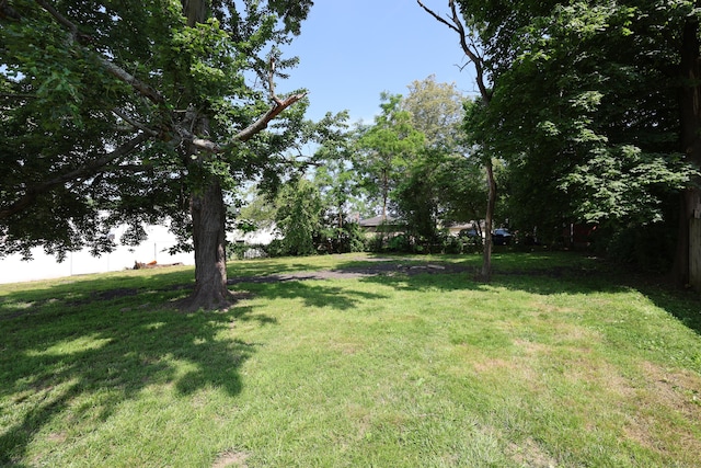 103 Anthony St, New Haven, CT 06515 - view of green lawn