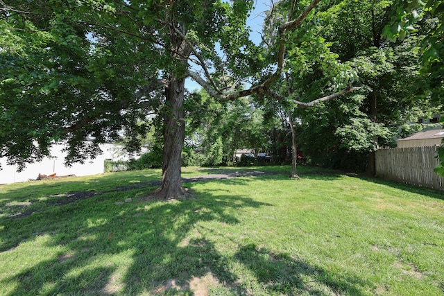 103 Anthony St, New Haven, CT 06515 - view of yard