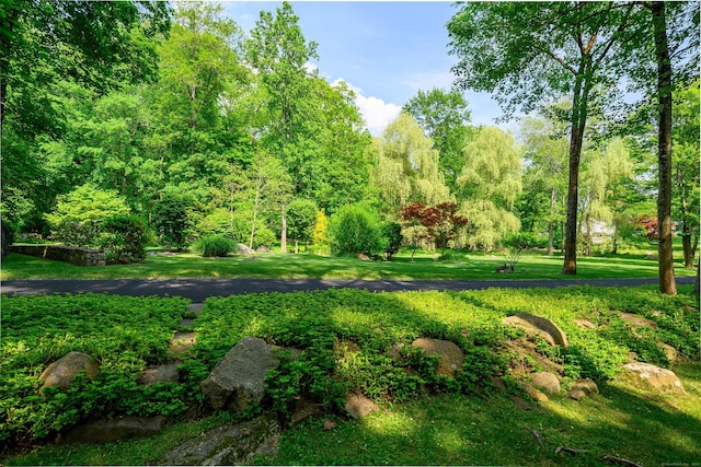20 Copper Beech Ln, Ridgefield, CT 06877 - view of green lawn